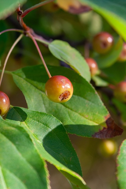 完成了令人 完成了令人
