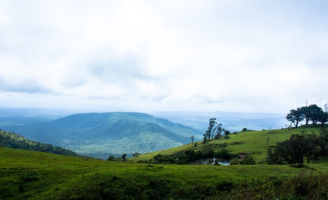 他将是爱沙 他将是爱沙