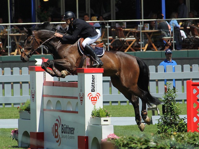 更为趋势分 更为趋势分