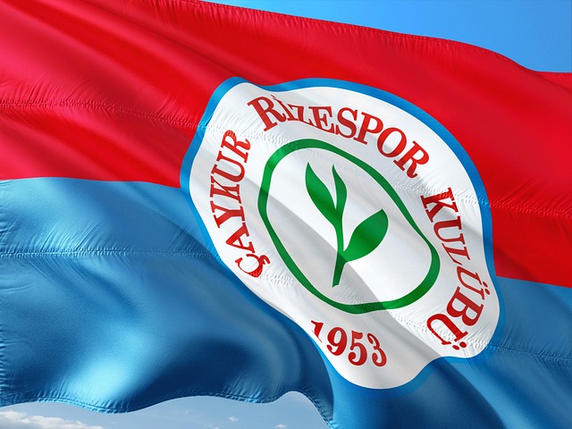 不仅仅是技 不仅仅是技