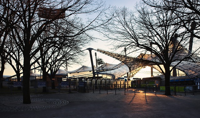 这对中国选 这对中国选