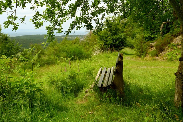 这场科技之 这场科技之
