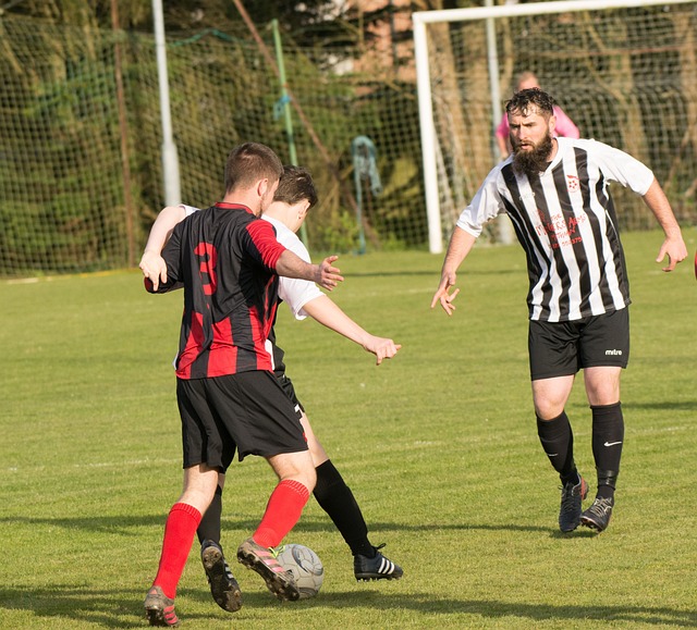 的辉煌战绩 的辉煌战绩