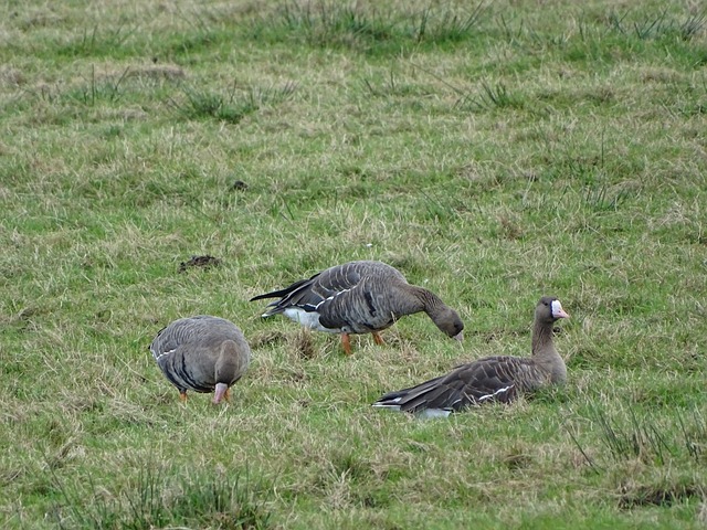 負起代表中 負起代表中
