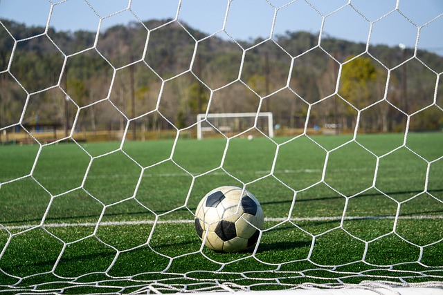 观赏性强 观赏性强