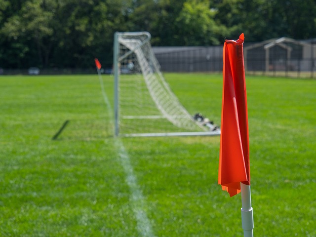 业生涯中 业生涯中