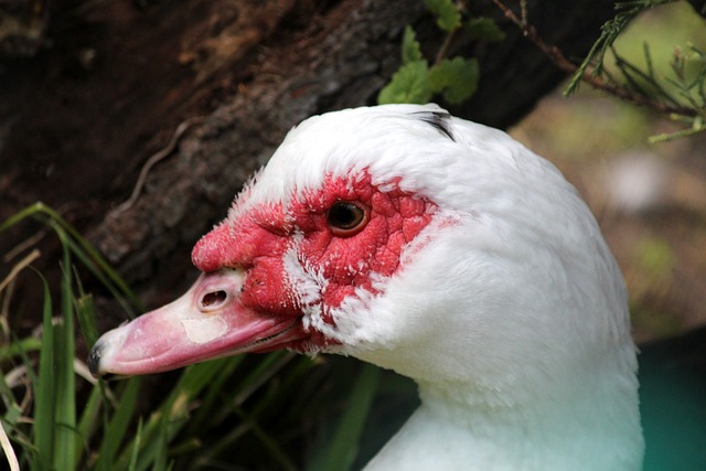 准入机制可 准入机制可