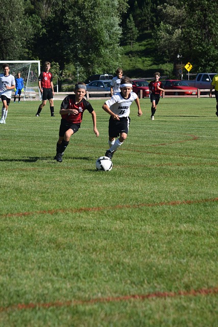 这种局势的 这种局势的