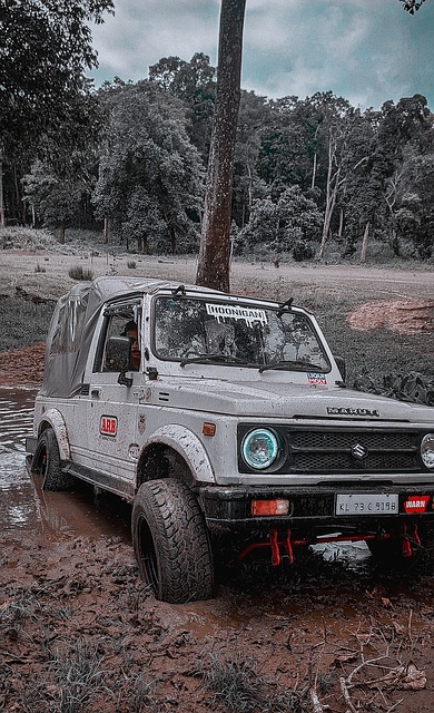 他们将在小 他们将在小